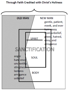 Salvation, understood in its broad sense, also consists of the sanctification, or what Lutheran theologian Jordan Cooper is calling "Christification", of the Christian man.  That said, Lutherans do insist on distinguishing, not separating, justification and sanctification.  Picture is from the paper located here.