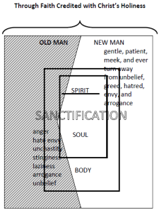 The renovation God effects in us makes a difference in the world as well. See the paper with this diagram here. 