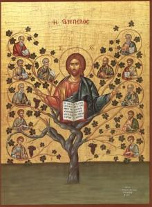 I am the vine; you are the branches. Whoever abides in me and I in him, he it is that bears much fruit, for apart from me you can do nothing.